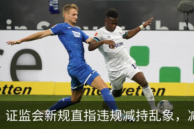 证监会新规直指违规减持乱象，减持比例超5%、金额超5亿将被重罚